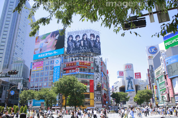 スクランブル交差点 夏 の画像素材 道路 乗り物 交通の写真素材ならイメージナビ