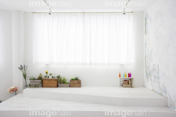 部屋 おしゃれ 人 洋室 ロイヤリティフリー の画像素材 その他植物 花 植物の写真素材ならイメージナビ