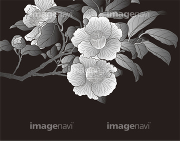 椿 イラスト 和風 冬 の画像素材 花 植物 イラスト Cgのイラスト素材ならイメージナビ
