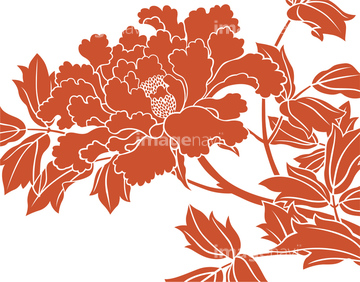 イラスト Cg バックグラウンド 和柄 花 牡丹 の画像素材 イラスト素材ならイメージナビ