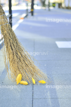 ほうき 掃く の画像素材 葉 花 植物の写真素材ならイメージナビ