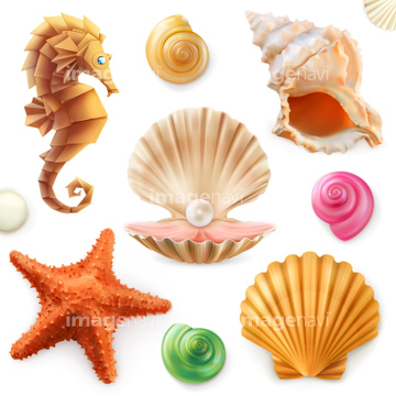 貝 イラスト 牡蠣 二枚貝 綺麗 の画像素材 海の動物 生き物のイラスト素材ならイメージナビ