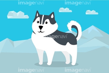 犬のイラスト特集 シベリアンハスキー イラスト の画像素材 生き物 イラスト Cgのイラスト素材ならイメージナビ