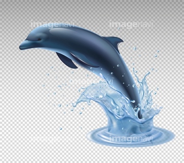 動物のイラスト イルカ かわいい 青色 イラスト の画像素材 生き物 イラスト Cgのイラスト素材ならイメージナビ
