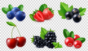 ベリー クランベリー ロハス イラスト の画像素材 健康食品 美容 健康のイラスト素材ならイメージナビ