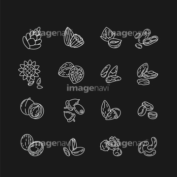 木の実 アイコン 南国 の画像素材 花 植物 イラスト Cgの写真素材ならイメージナビ