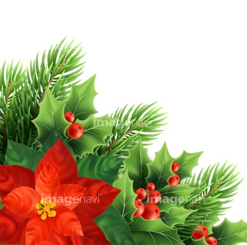 クリスマス特集 クリスマス イラストクリスマスの花 バラ イラスト の画像素材 季節 イベント イラスト Cgのイラスト素材ならイメージナビ
