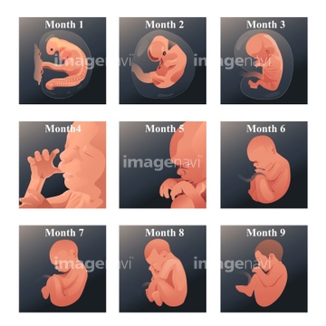 性器 女 子供 年齢層 女性器 幼児 の画像素材 人物 イラスト Cgの写真素材ならイメージナビ