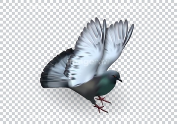 鳥 飛ぶ 飛行 綺麗 抽象的 イラスト の画像素材 生き物 イラスト Cgのイラスト素材ならイメージナビ