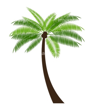 季節のイラスト 夏の風景 オセアニア イラスト の画像素材 季節 イベント イラスト Cgのイラスト素材ならイメージナビ