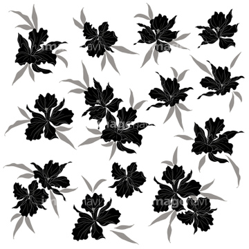イラスト Cg バックグラウンド 植物柄 花 ラン ランの近縁 の画像素材 イラスト素材ならイメージナビ