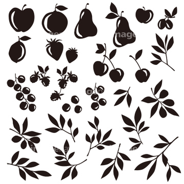 果物 ビワ バラの近縁 イラスト の画像素材 テーマ イラスト Cgのイラスト素材ならイメージナビ