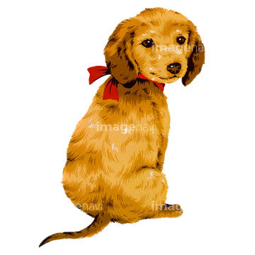 犬 かわいい ダックスフント イラスト の画像素材 生き物 イラスト Cgのイラスト素材ならイメージナビ