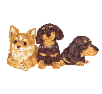 犬 かわいい ダックスフント イラスト の画像素材 生き物 イラスト Cgのイラスト素材ならイメージナビ