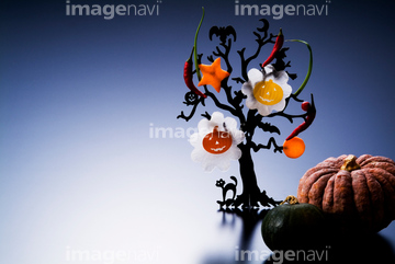 ハロウィーン キャラクター の画像素材 季節 イベント イラスト Cgの写真素材ならイメージナビ
