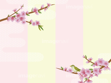 桃の花 イラスト 和風 の画像素材 季節 イベント イラスト Cgのイラスト素材ならイメージナビ