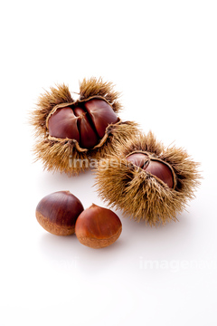 食べ物 季節 形態別食べ物 秋の食べ物 茶色 木の実 の画像素材 写真素材ならイメージナビ