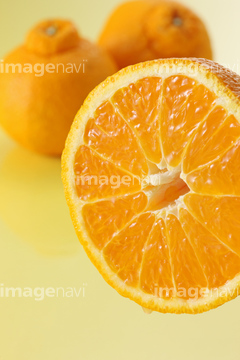 柑橘系 断面図 ミカン オレンジ色 の画像素材 健康管理 ライフスタイルの写真素材ならイメージナビ