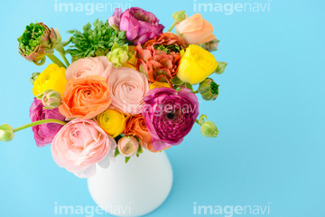生け花 フラワーアレンジメント の画像素材 花 植物の写真素材ならイメージナビ