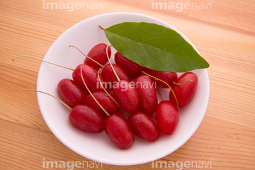 グミの実 の画像素材 季節 形態別食べ物 食べ物の写真素材ならイメージナビ
