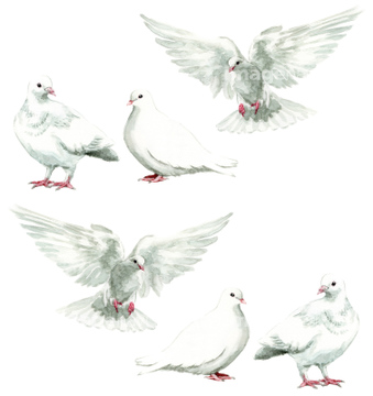 鳥 水彩 ハト イラスト の画像素材 テーマ イラスト Cgのイラスト素材ならイメージナビ