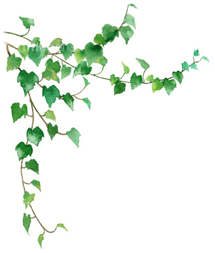 イラスト 植物 観葉植物 アイビー 鉢植え の画像素材 テーマ イラスト Cgのイラスト素材ならイメージナビ