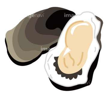 貝 イラスト 牡蠣 二枚貝 楽しみ の画像素材 生き物 イラスト Cgのイラスト素材ならイメージナビ