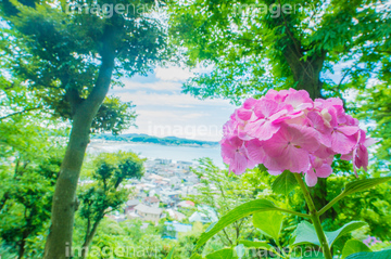 梅雨 の画像素材 季節 イベント イラスト Cgの写真素材ならイメージナビ