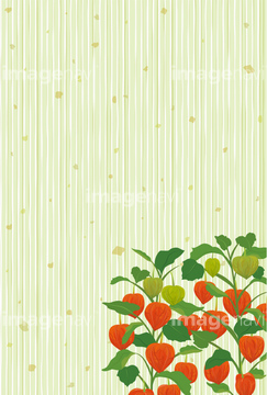 夏 イラスト 晩夏 の画像素材 年賀 グリーティングのイラスト素材ならイメージナビ