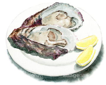 北海道特集 食貝類 みずみずしい 新鮮 の画像素材 食べ物 飲み物 イラスト Cgの写真素材ならイメージナビ
