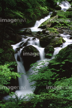横行渓谷 の画像素材 森林 自然 風景の写真素材ならイメージナビ