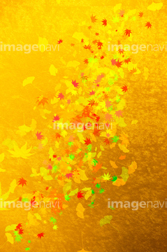 落ち葉 カエデ イチョウ 和柄 の画像素材 樹木 花 植物の写真素材ならイメージナビ