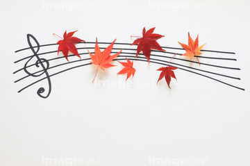 音楽の秋 の画像素材 季節 イベント イラスト Cgの写真素材ならイメージナビ