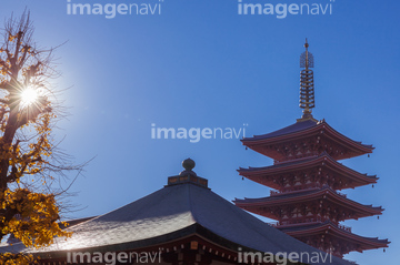 五重塔 シルエット の画像素材 日本 国 地域の写真素材ならイメージナビ