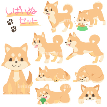 最も共有された 犬 イラスト 柴犬