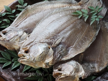 ヒラメ の画像素材 生き物 イラスト Cgの写真素材ならイメージナビ