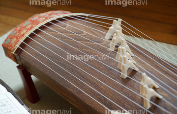 オブジェクト 楽器 和楽器 琴 の画像素材 写真素材なら