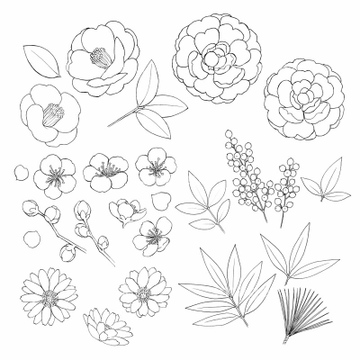 イラスト 手書き 花 ツバキ の画像素材 花 植物 イラスト Cgの