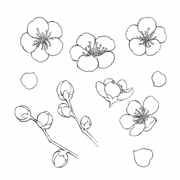 ペン画 年賀状向け の画像素材 花 植物 イラスト Cgの写真素材ならイメージナビ