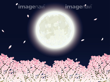 桜 イラスト 夜桜 イラスト の画像素材 花 植物 イラスト Cgのイラスト素材ならイメージナビ