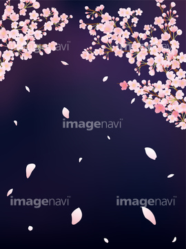 桜 和風 夜桜 イラスト の画像素材 バックグラウンド イラスト Cgのイラスト素材ならイメージナビ