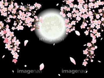 桜 イラスト 夜桜 綺麗 イラスト の画像素材 デザインパーツ イラスト Cgのイラスト素材ならイメージナビ