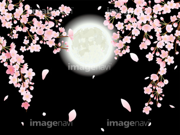 桜 ｲﾗｽﾄ 夜桜 綺麗 の画像素材 デザインパーツ イラスト Cgの写真素材ならイメージナビ