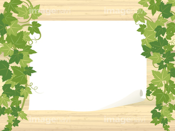 イラスト 植物 観葉植物 アイビー の画像素材 花 植物 イラスト Cgのイラスト素材ならイメージナビ