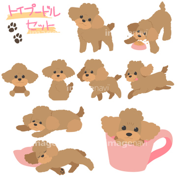 美しい花の画像 ぜいたく犬 イラスト トイプードル