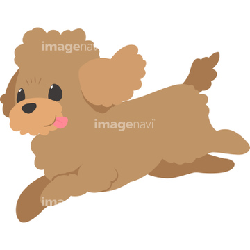 犬のイラスト特集 トイプードル イラスト の画像素材 生き物