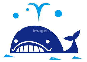 クジラ 潮吹き の画像素材 海の動物 生き物の写真素材ならイメージナビ