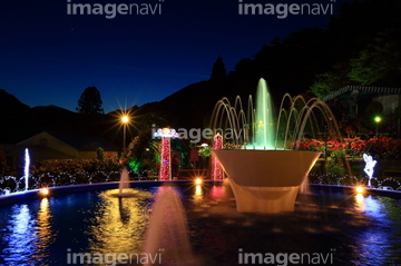 庭園 夜 バラ園 の画像素材 クリスマス 行事 祝い事の写真素材ならイメージナビ