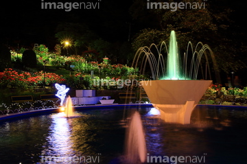 庭園 夜 バラ園 の画像素材 クリスマス 行事 祝い事の写真素材ならイメージナビ