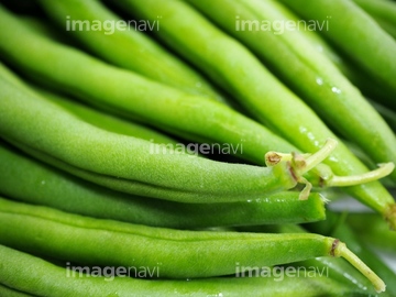 さんどまめ の画像素材 穀物 食べ物の写真素材ならイメージナビ